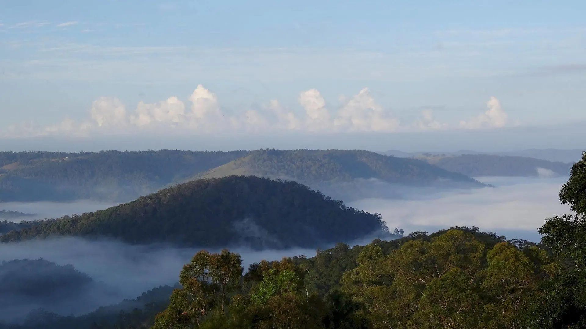 Maleny Luxury Cottages Australia