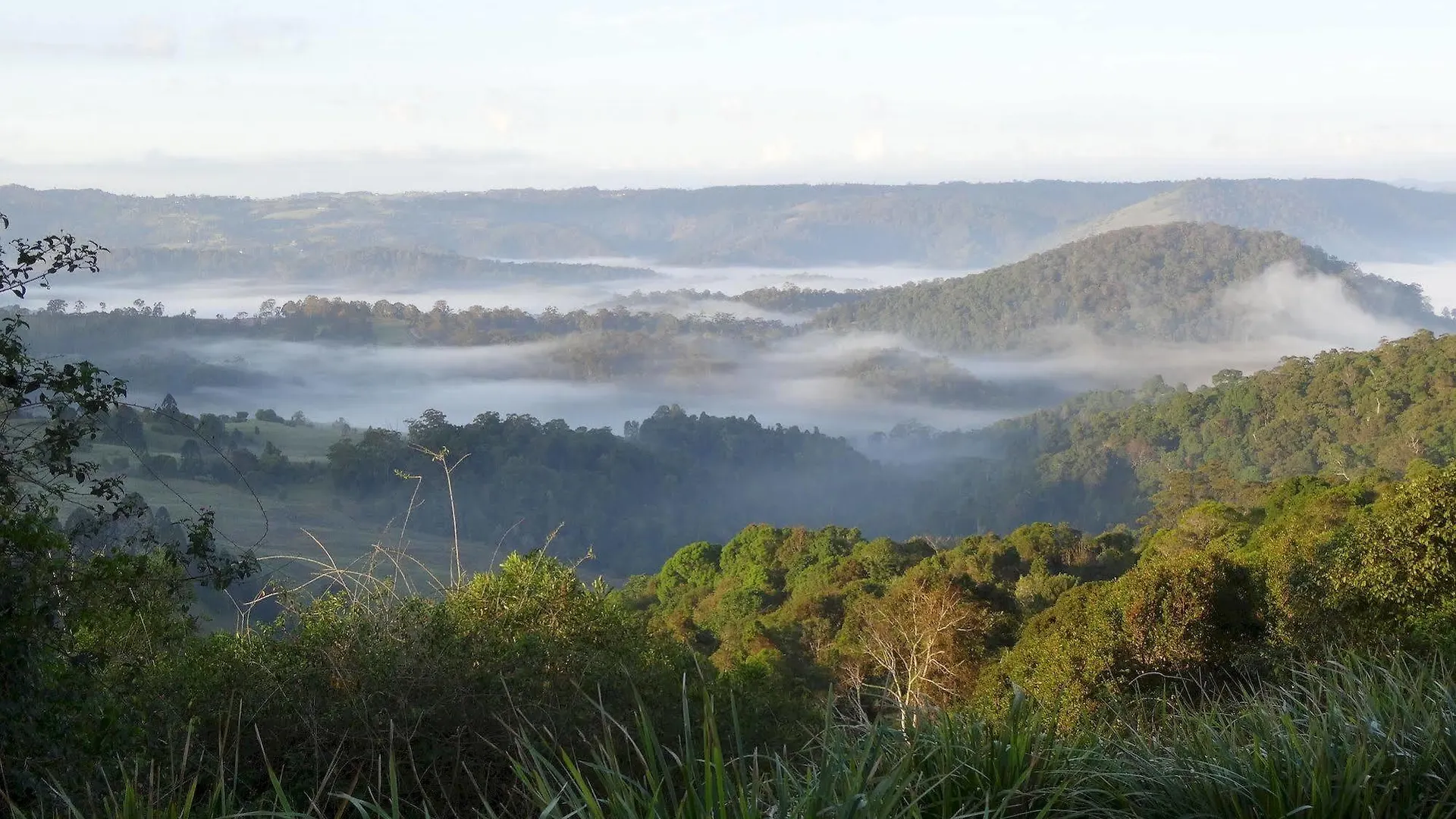 Maleny Luxury Cottages 0*,  Australia